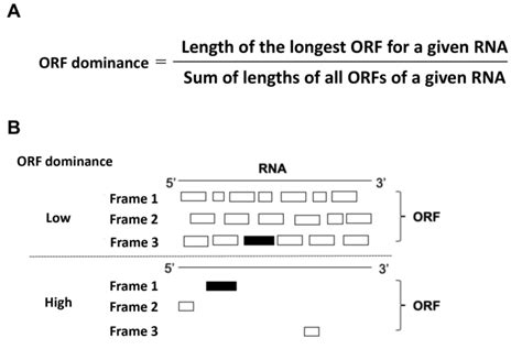 fakboi.orf|orf meaning.